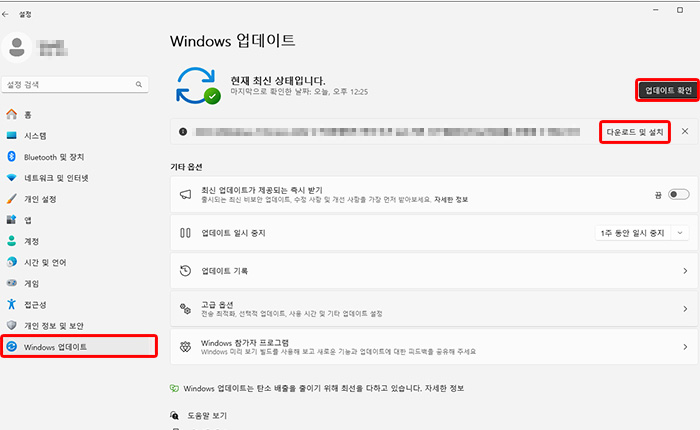 윈도우11 Window 업데이트 화면에 고급옵션