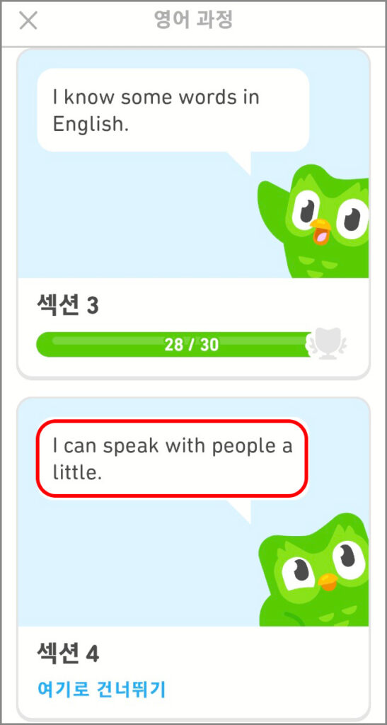 듀오링고 섹션 4