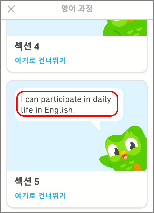 듀오링고 섹션 5