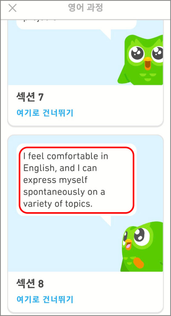 듀오링고 섹션 8