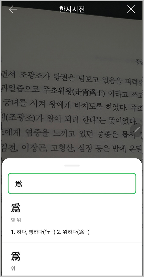 네이버 한자사전 뜻 표시