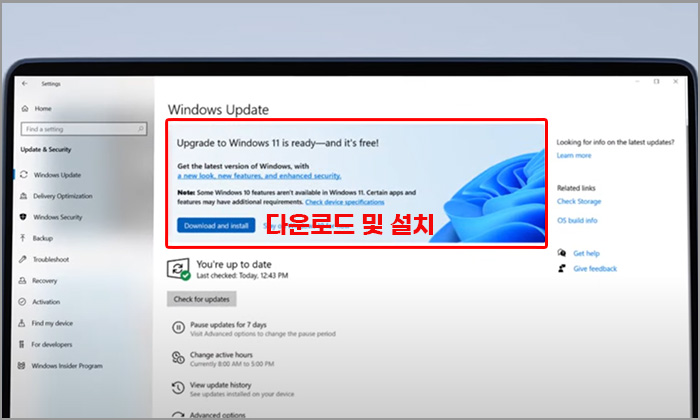 윈도우 11 다운로드 및 설치 배너